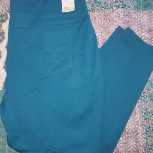 Terra & Sky Blue Skinny Pants